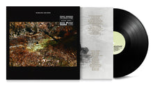 Load image into Gallery viewer, (2015) The Green Stone - LP
